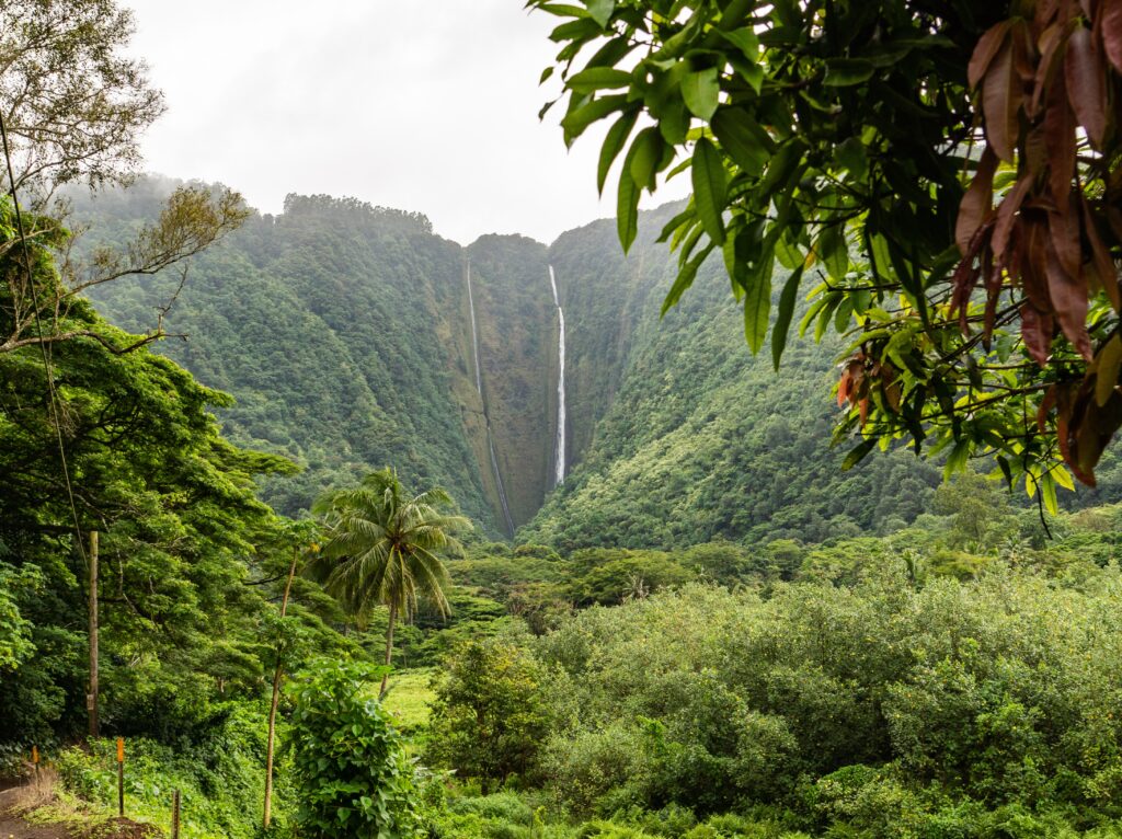 Maui, Hawaii_honeymoon destination 