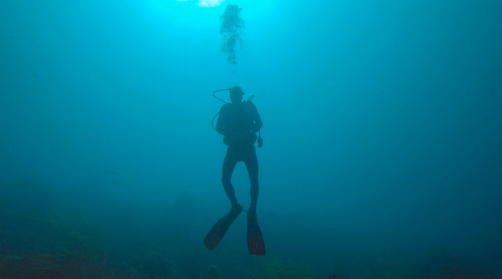 scuba diving sri lanka